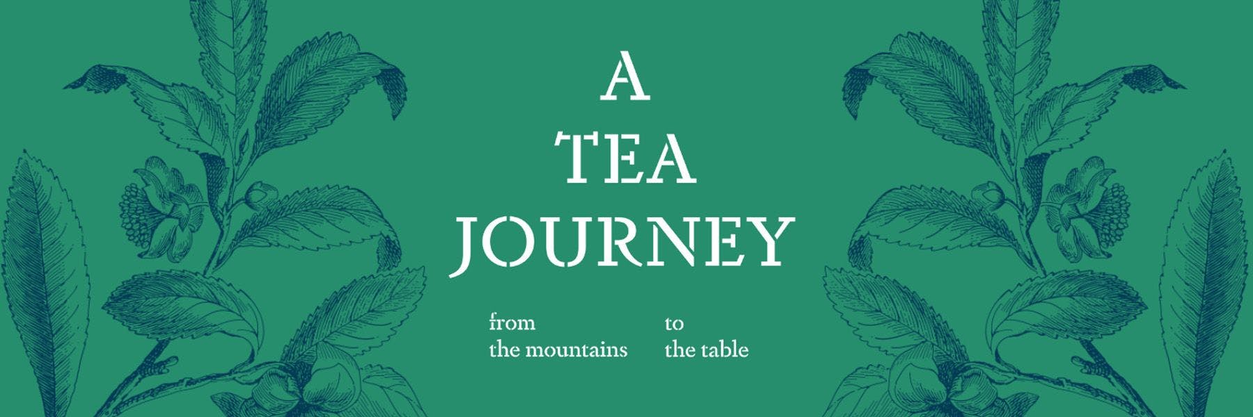 a-tea-journey-featured-image.jpg