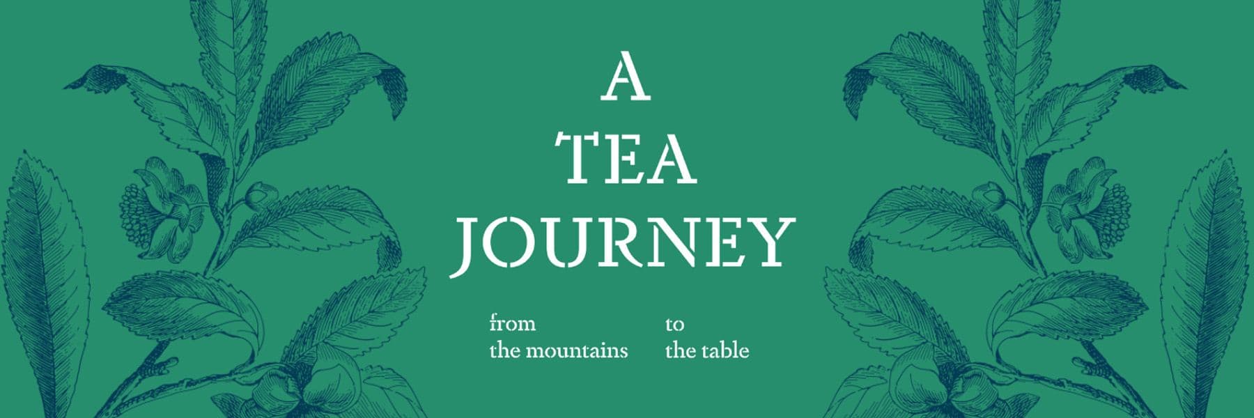 a-tea-journey-featured-image.jpg